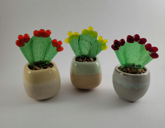 Succulents - 2.5 Tubular