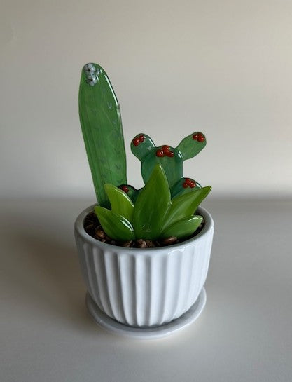 Succulents - Triple in 4" pot