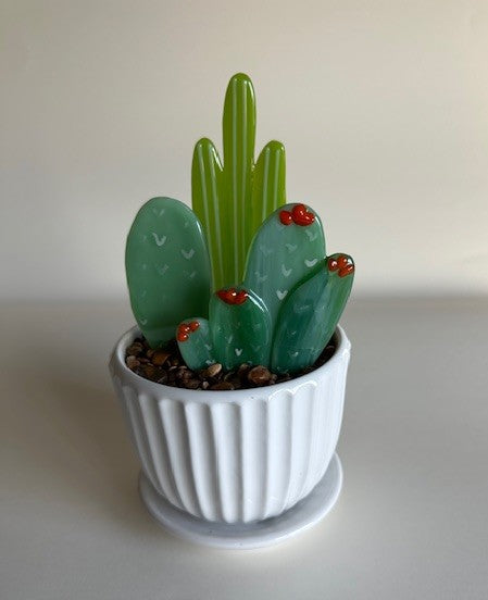 Succulents - Triple in 4" pot