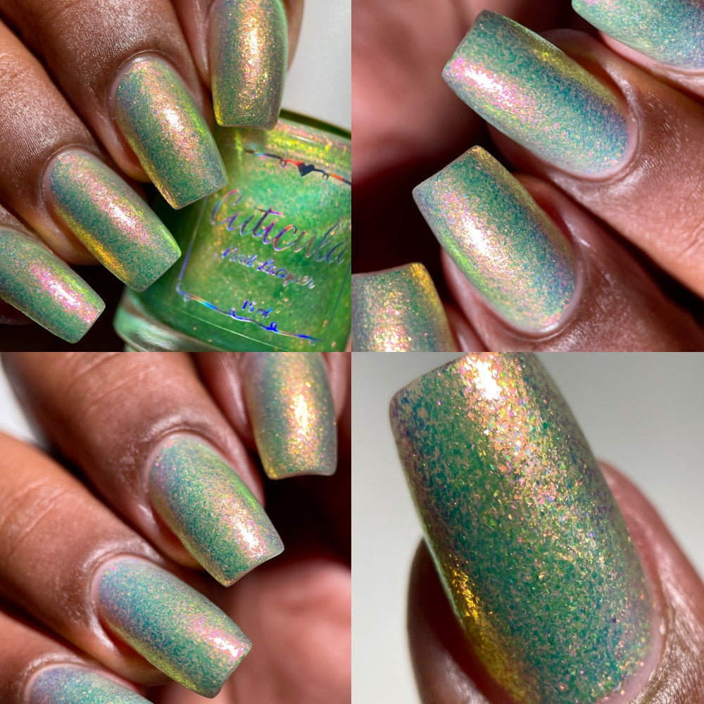 Sugar Melon