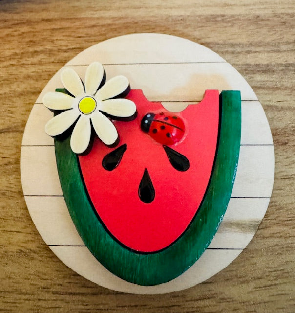 Magnetic Insert - Watermelon - STV