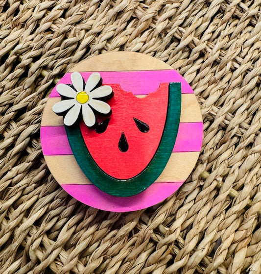 Watermelon Magnetic 3" Insert - STV