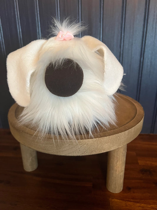 Gnoming Around: White Dog Gnome