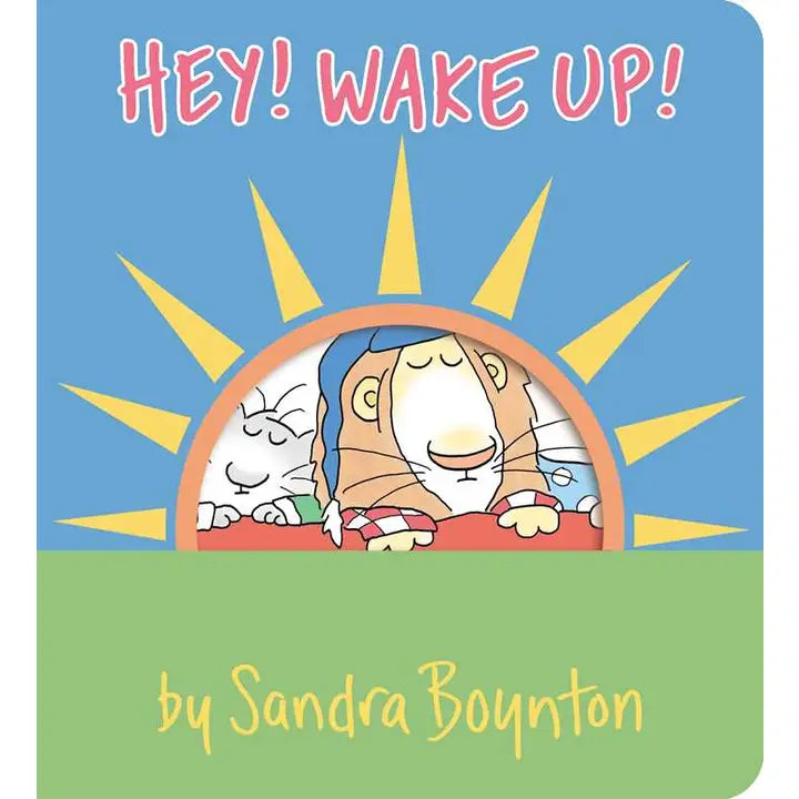Hey! Wake Up Book - STV