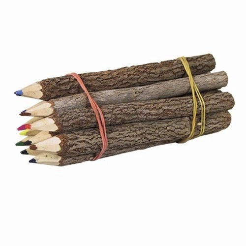 Branch Colored Pencil Bundle 1dz