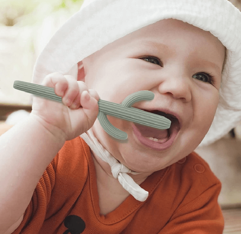 Cactus Silicone Teether & Straw for kids and adults - MKS MIMINOO