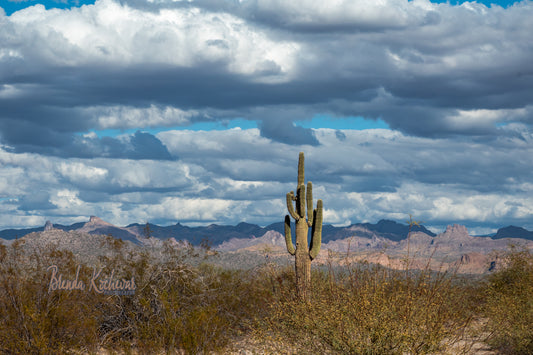 Cloudy Desert & Saguaro Greeting Card