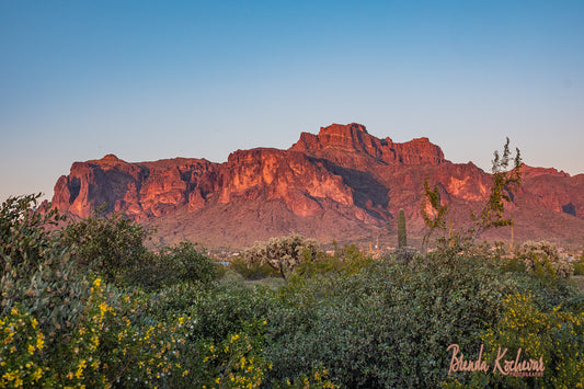 Cougar Sunset Superstition Mountain Greeting Card