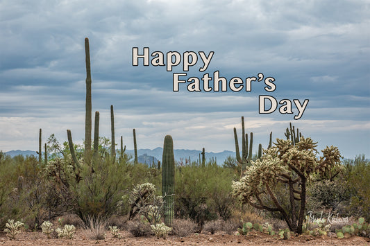 Desert Blooms Father's Day Greeting Card