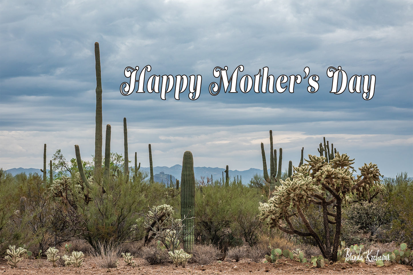 Desert Blooms Mother's Day Greeting Card