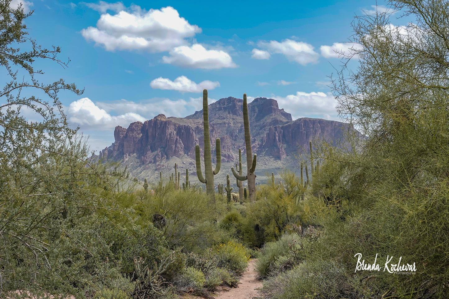 Superstition Mountain Matted Print 7” x 5”
