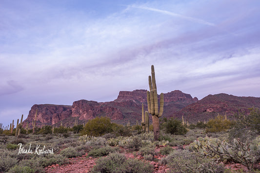 Superstition Mountain Sunset at Broadway Trail 24” x 16” Canvas