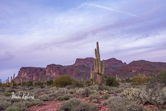 Superstition Mountain Sunset at Broadway Trail 12” x 8” Canvas