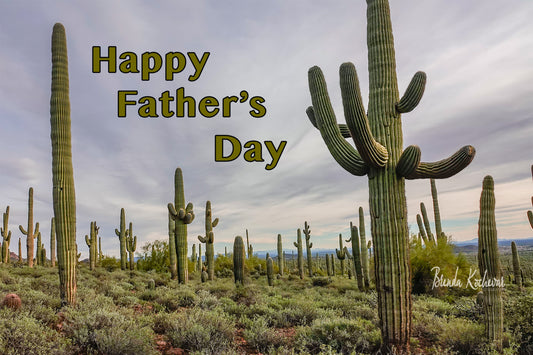Field of Saguaros Father's Day Greeting Card