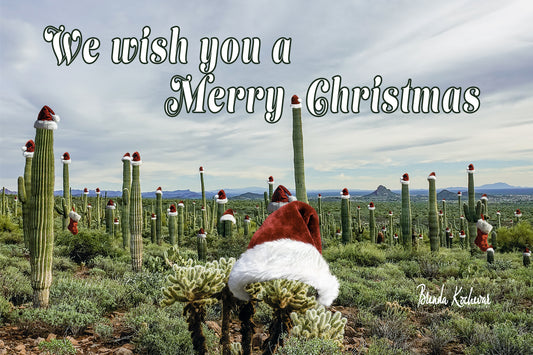 Field of Santa Hats We Wish You a Merry Christmas Greeting Card