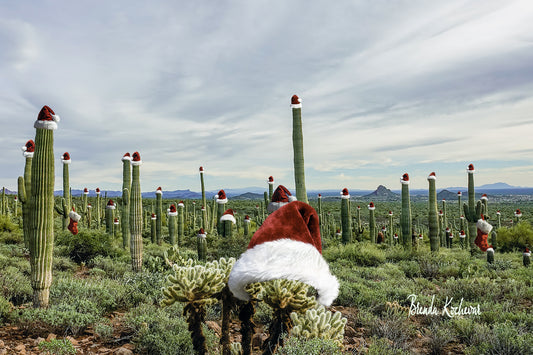 Field of Santa Hats Greeting Card