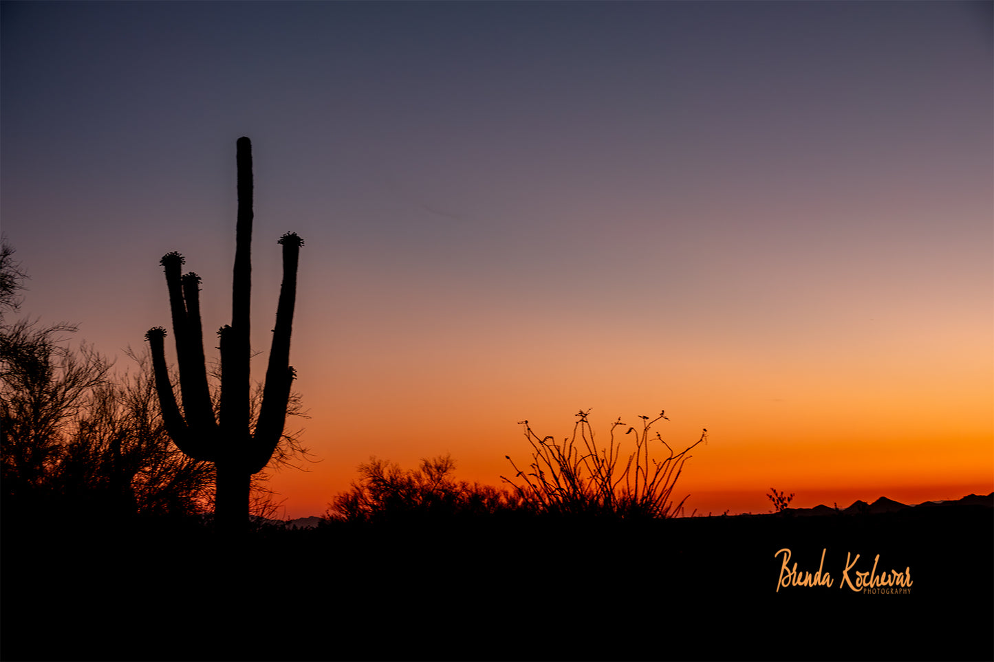 Saguaro Ocotillo Sunset Greeting Card