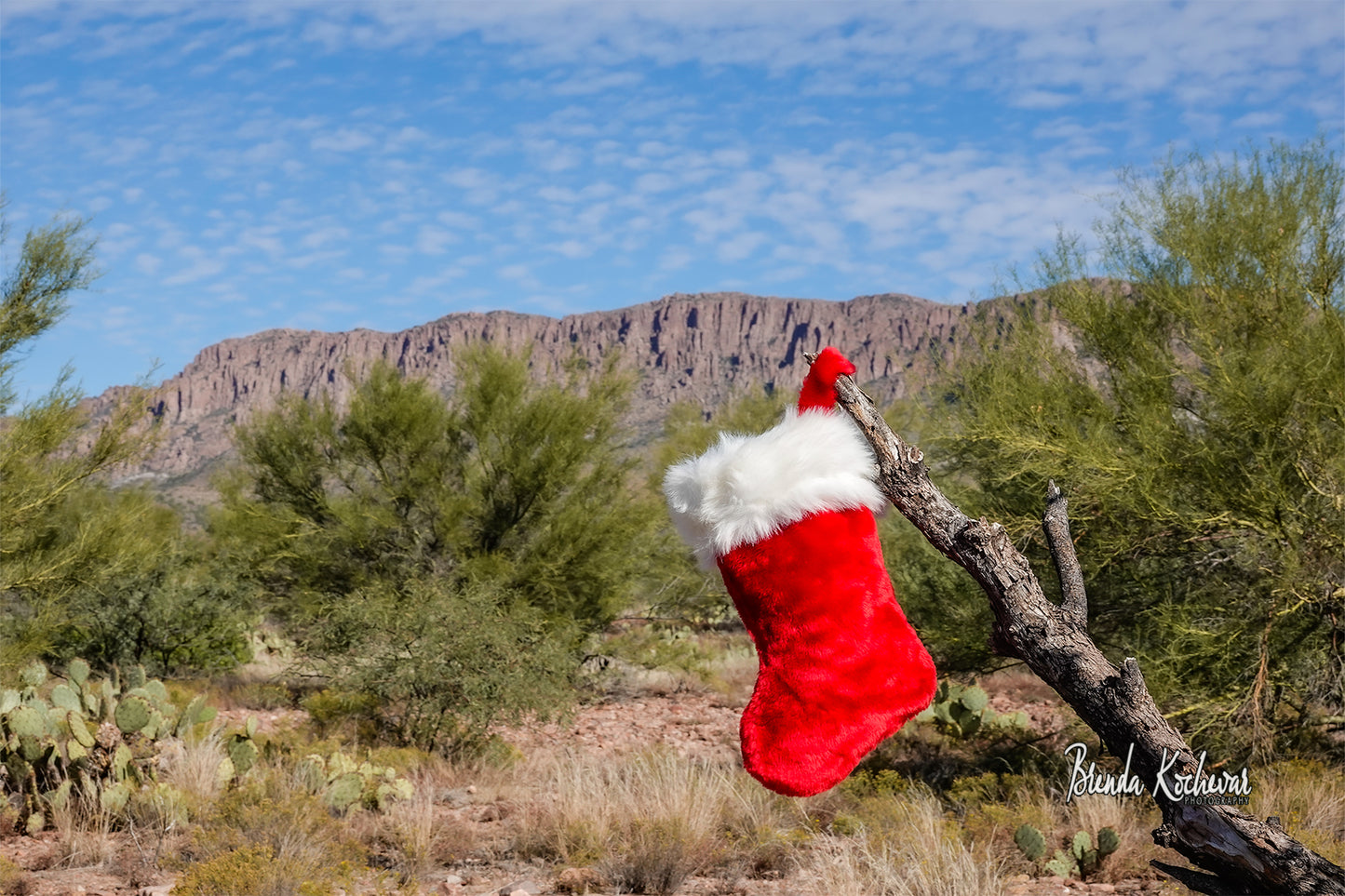 Apache Leap Christmas Stocking Greeting Card
