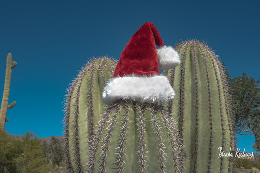 Saguaro Hands Up Christmas Greeting Card