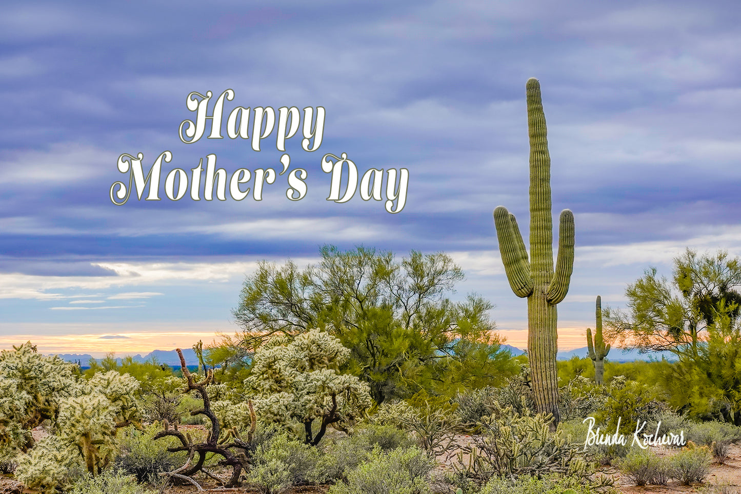 Sunset Saguaro Desert Scene Mother's Day Greeting Card