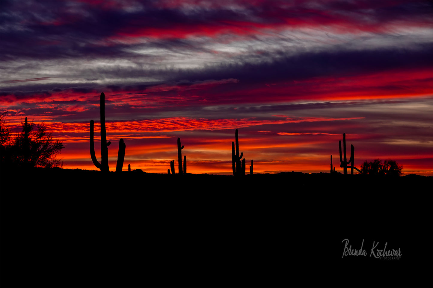 Arizona Saguaro Sunset Greeting Card