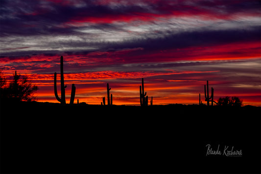 Arizona Saguaro Sunset Greeting Card