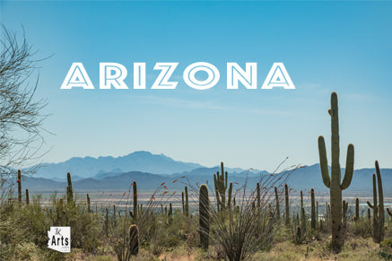Tucson Desert Scene Photograph in a Viewfinder