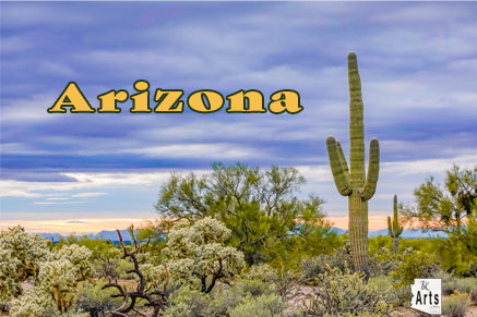 Sunset Saguaro Viewfinder