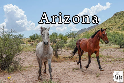 Photograph of Wild Horses in a Viewfinder