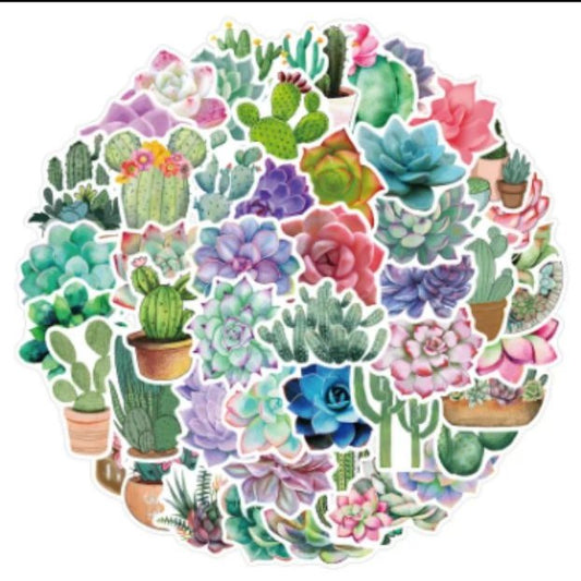 Succulent Cactus Decals/Stickers